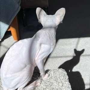 Meet your Posher, Sandi